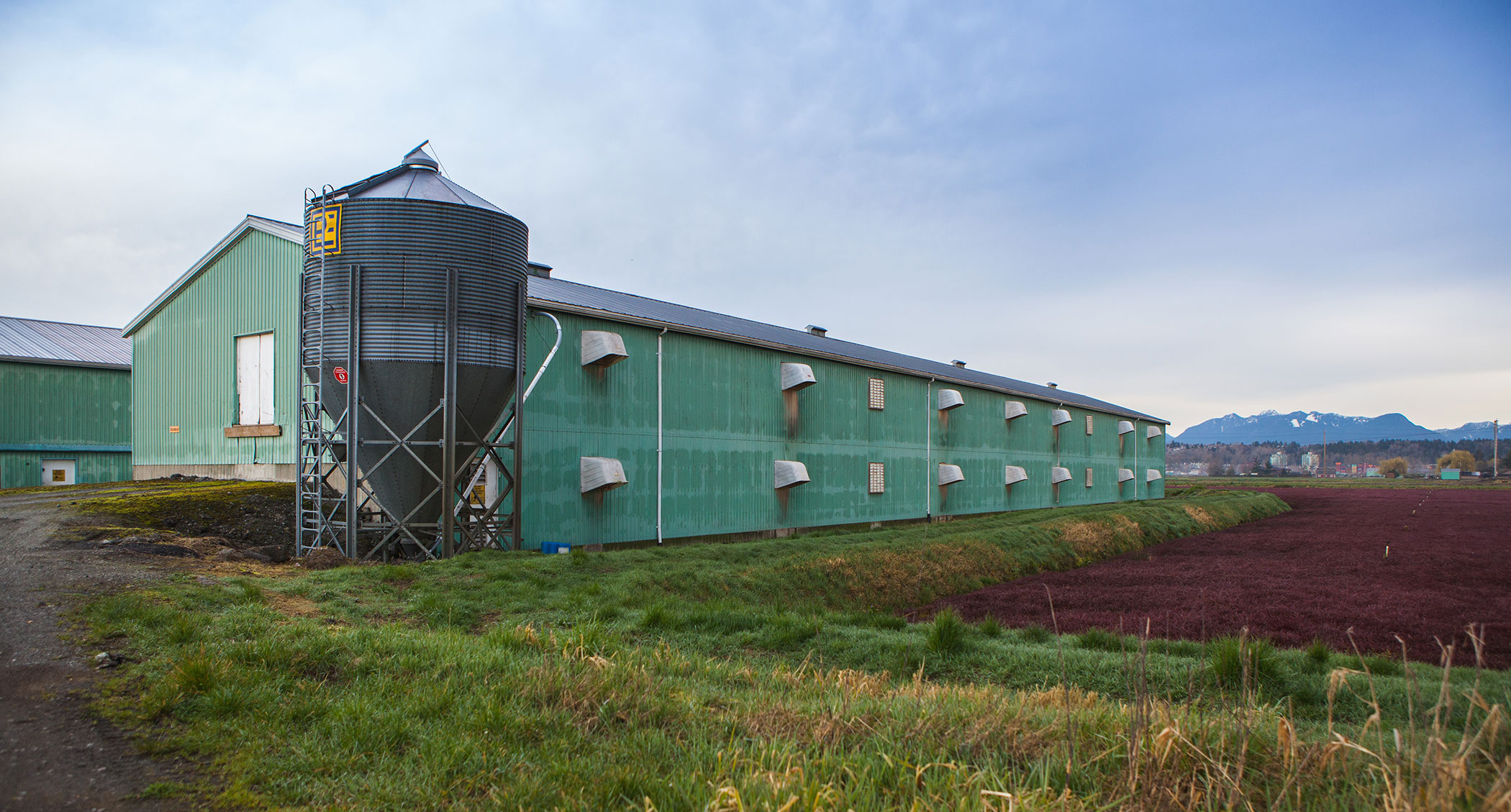 <span>Room to roam</span>